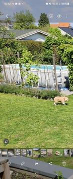 Intex met pomp,filter,robot, Tuin en Terras, Zwembaden, Ophalen of Verzenden, Zo goed als nieuw