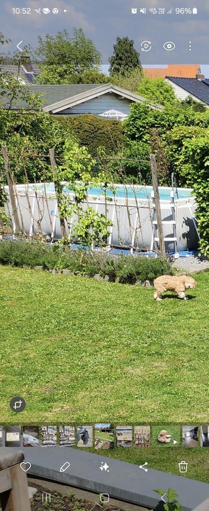 Intex met pomp,filter,robot, Tuin en Terras, Zwembaden, Zo goed als nieuw, Ophalen of Verzenden