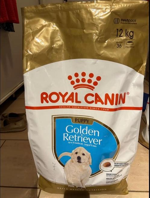 Royal Canin Golden Retriever Puppy - Hondenvoer, Animaux & Accessoires, Nourriture pour Animaux, Chien, Enlèvement