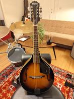 Washburn M1S A-Style Mandoline + Kinsman bag, Muziek en Instrumenten, Ophalen of Verzenden, Gebruikt