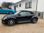 VOLKSWAGEN BEETLE CABRIO, Euro 5, Stof, Cabriolet, Bedrijf