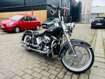 Prachtige Softail Deluxe‼️ beschikbaar voor biedingen
