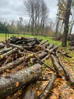 Brandhout eik en beuk, Doe-het-zelf en Bouw, Ophalen