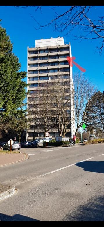 Gezellige studio te 1932 Woluwe - UCL - ULB  beschikbaar voor biedingen