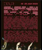 Pass 5 jours + camping regular dour festival