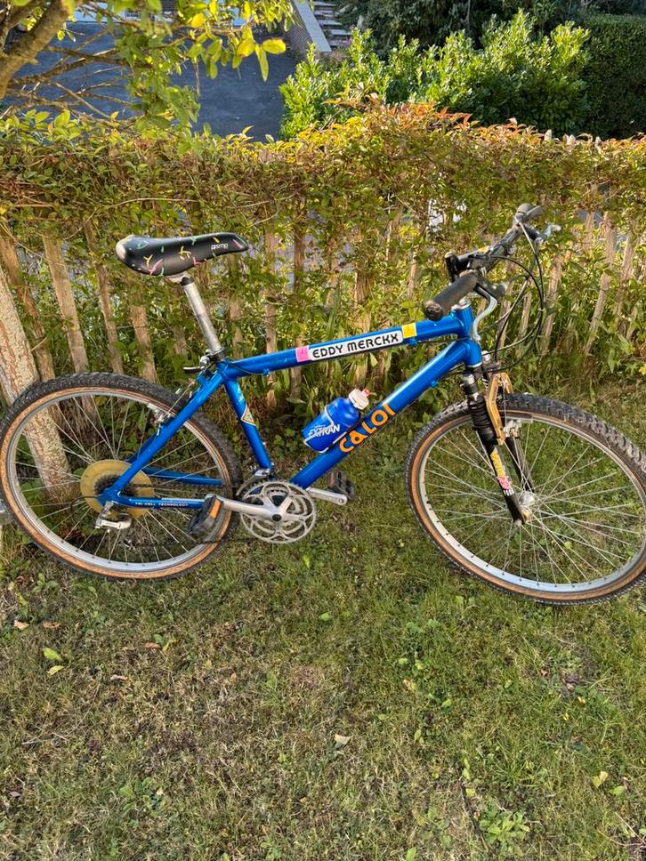 CALOI mountainbike (Eddy Merckx), Fietsen en Brommers, Fietsen | Mountainbikes en ATB, Zo goed als nieuw, Ophalen of Verzenden