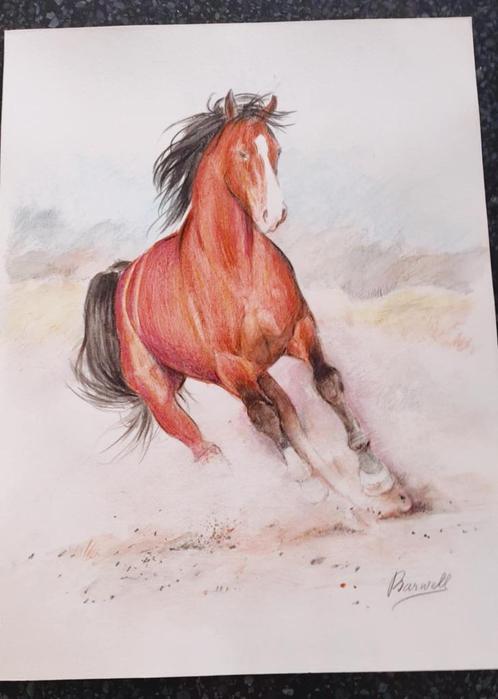 prachtige potloodtekening van Paul Barwell: dravend paard, Antiek en Kunst, Kunst | Tekeningen en Fotografie, Ophalen of Verzenden