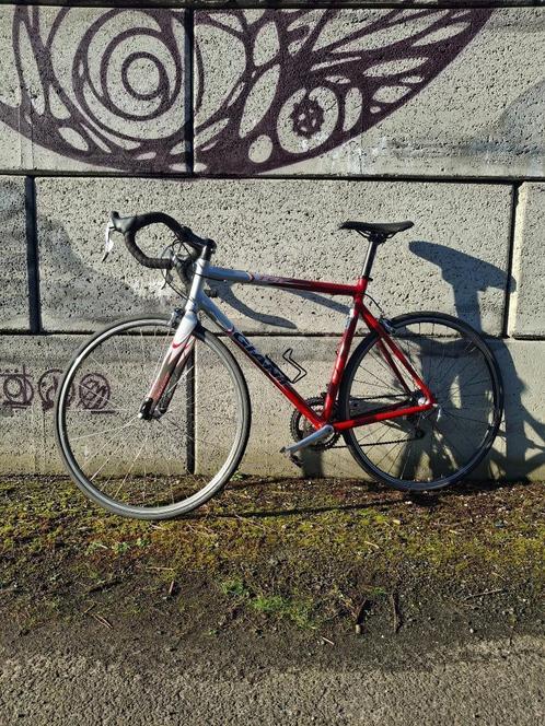 Racefiets Giant tcr maat 55, Fietsen en Brommers, Fietsen | Racefietsen, Gebruikt, Heren, Giant, Meer dan 20 versnellingen, Aluminium