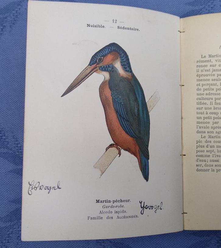 1898: Atlas des Oiseaux. Vogel atlas. 72x litho in kleur., Boeken, Dieren en Huisdieren, Gelezen, Vogels, Ophalen of Verzenden
