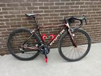 Vélo de route Focus Evo, Carbon, 10 tot 15 versnellingen, Heren, 49 tot 53 cm