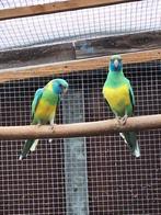 Cloncurry