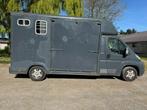 Paardencamionette, Dieren en Toebehoren, Paarden en Pony's | Trailers en Aanhangwagens, Ophalen, Gebruikt, Overige typen