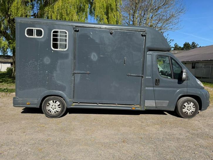 Paardencamionette, Dieren en Toebehoren, Paarden en Pony's | Trailers en Aanhangwagens, Gebruikt, Overige typen, Ophalen