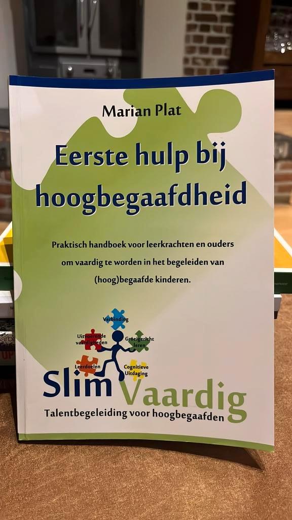 Slim Vaardig Talent begeleiding voor hoogbegaafden, Boeken, Zwangerschap en Opvoeding, Ophalen of Verzenden