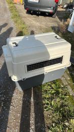 Honden bench, Dieren en Toebehoren, Ophalen, Zo goed als nieuw