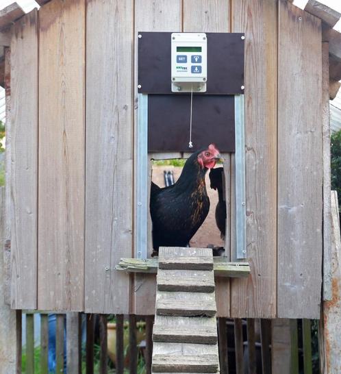 Automatisch kippenluik, Dieren en Toebehoren, Vogels | Toebehoren, Nieuw, Ophalen of Verzenden