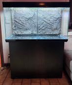 Aquarium met kast en verlichting, Ophalen, Gebruikt, Leeg aquarium