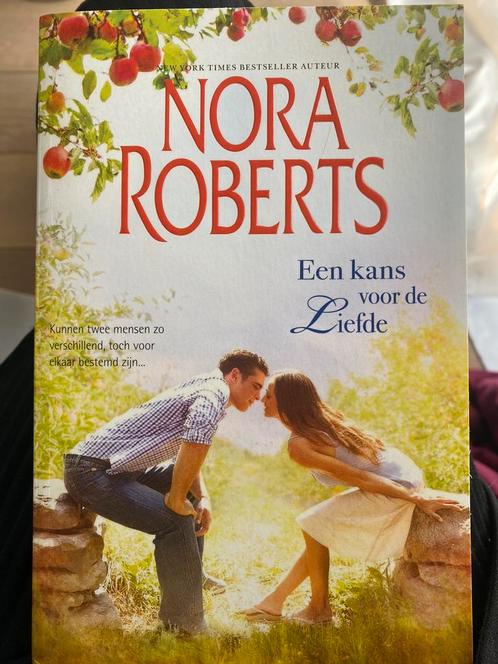 Nora Roberts - Een kans voor de liefde, Livres, Romans, Comme neuf, Amérique, Enlèvement