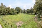Adoptiepaard/ weidemaatje gezocht, Dieren en Toebehoren