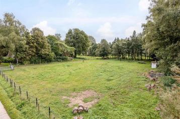 Adoptiepaard/ weidemaatje gezocht