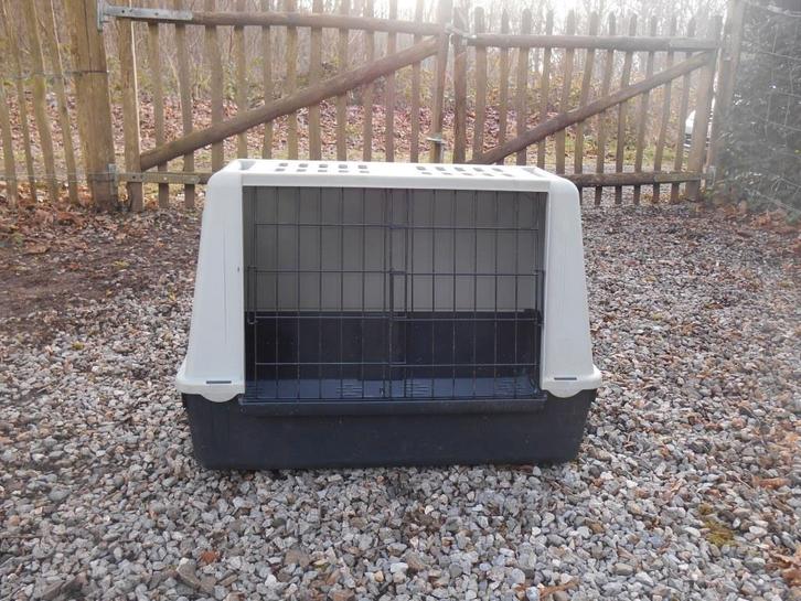 cage de transport, Dieren en Toebehoren, Transportboxen, Gebruikt, Ophalen