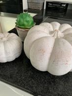 Pompoenen in zware beton/terra cotta, mooi derocatief, Huis en Inrichting, Ophalen, Zo goed als nieuw