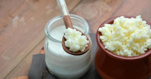 te koop: verse melk kefir bloemetjes !, Diversen, Levensmiddelen, Ophalen of Verzenden