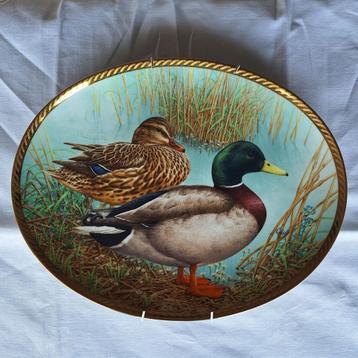 “The wild ducks of Europe” – Raymond Watson beschikbaar voor biedingen