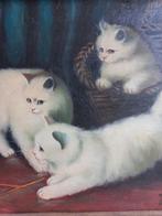 Schilderij poezen poes kat met kader, Antiek en Kunst, Ophalen