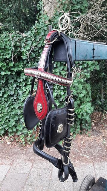  🔴NETJES FULL-MAAT SHOW ZIGEUNER MENHOOFDSTEL 35 €.🔴 beschikbaar voor biedingen