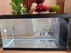 Aquarium 58 liter met decoratie, Dieren en Toebehoren, Ophalen, Zo goed als nieuw, Plant(en), Steen of Hout