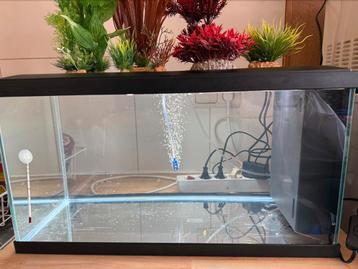Aquarium 58 liter met decoratie  beschikbaar voor biedingen