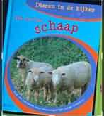 Informatief boek schapen Pasen, Ophalen of Verzenden, Zo goed als nieuw, Overige diersoorten