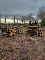 Brandhout berk en es op stam, Enlèvement, Frêne, Troncs d'arbres