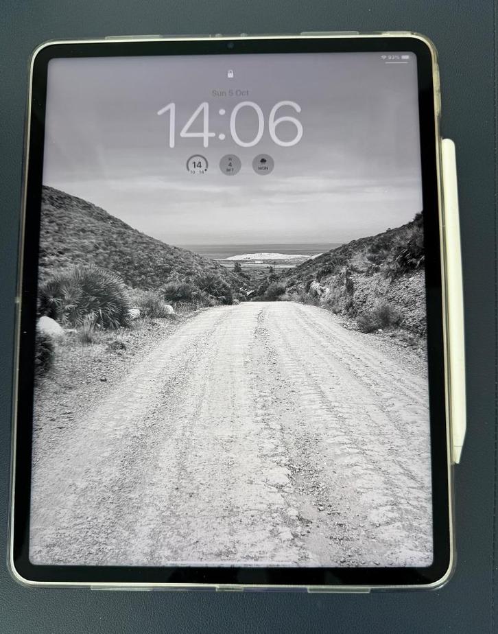Apple iPad Pro 2021 12,9” 5(2021) + Apple Pencil 2, Computers en Software, Apple iPads, Zo goed als nieuw, Apple iPad Pro, Wi-Fi