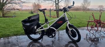 Ellio Original Sport wit  beschikbaar voor biedingen