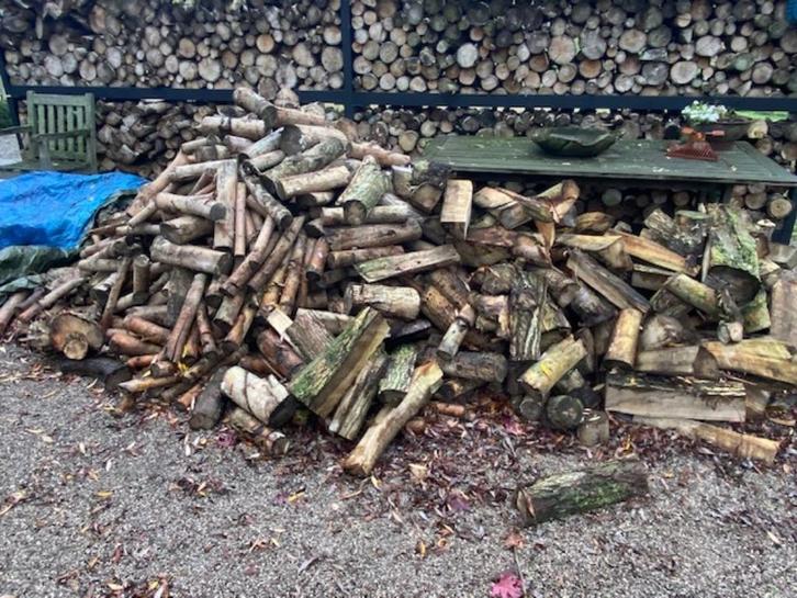 Brandhout wilg, Tuin en Terras, Brandhout, Blokken, Overige houtsoorten, 3 tot 6 m³, Ophalen