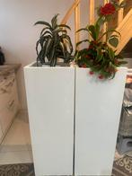 Planten houder 6 stuk, Huis en Inrichting, Ophalen, Zo goed als nieuw