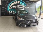 ES 300h Executive Line, Autos, Lexus, Argent ou Gris, Achat, 2487 cm³, Entreprise