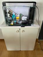 Aquarium, accessoires et meuble, Dieren en Toebehoren, Ophalen, Gebruikt