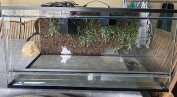Terrarium, Enlèvement, Utilisé, Terrarium ou Paludarium
