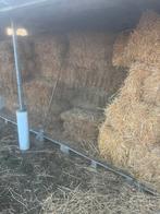 Kleine balen hooi, Dieren en Toebehoren