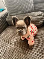 Kersen hondentruitje, Enlèvement, Comme neuf, Pull pour chien