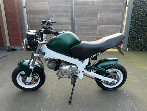Skyteam pbr 50cc, Fietsen en Brommers, Brommers | Honda, Ophalen