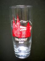 TRAPPIST-bier, Ophalen of Verzenden, Zo goed als nieuw, Glas of Glazen