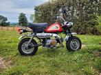 Honda Monkey Z50J2 12V, Overige modellen, 4 versnellingen, 49 cc, Ophalen of Verzenden