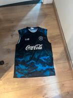 Napoli, Sport en Fitness, Voetbal, Groter dan maat XL, Ophalen of Verzenden, Nieuw, Shirt