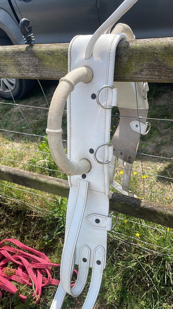 Paardenspullen: dekjes, zadel, voltigesingel, barebackpad,…, Dieren en Toebehoren, Paarden en Pony's | Hoofdstellen en Tuigage