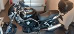 Yamaha bulldog bt1100, Motoren, Motoren | Yamaha, Particulier