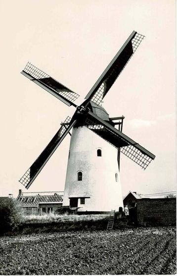 Sint-Denijs - Molen Ter Claere 